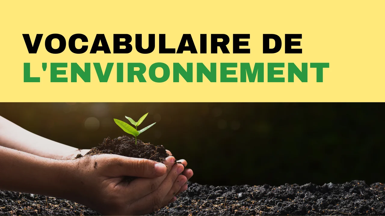 Vocabulaire De L Environnement Tout Le Fran Ais