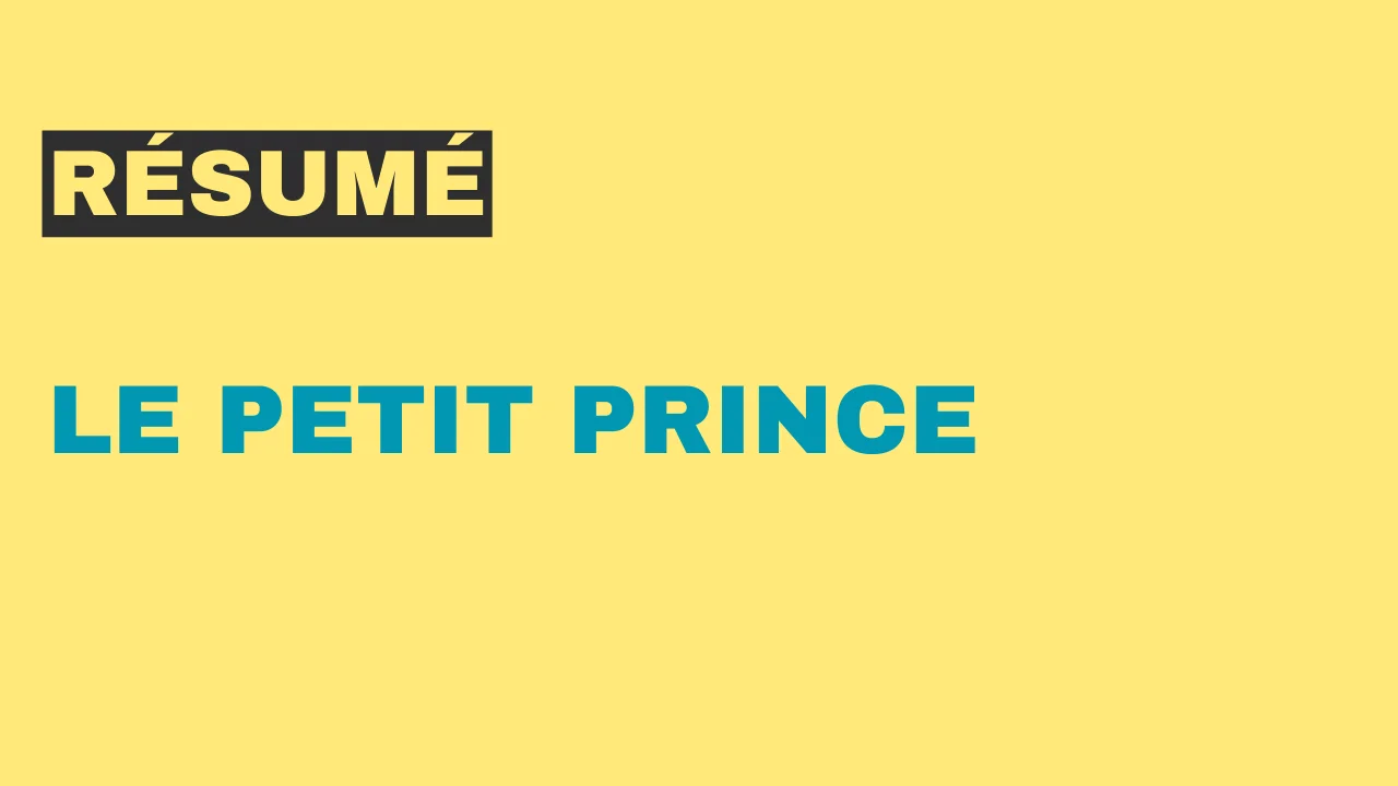 le petit prince résumé