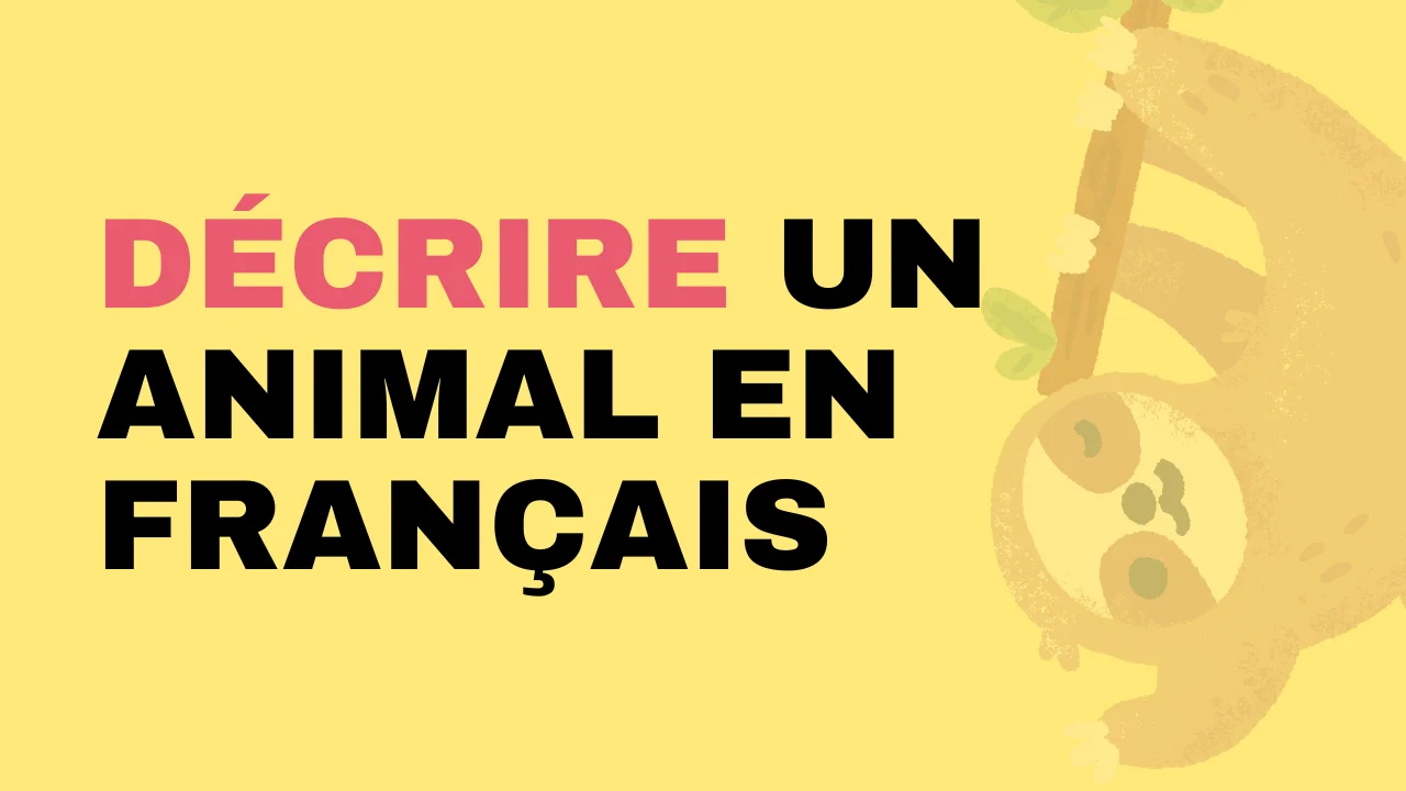 Décrire un animal en français – Tout le français