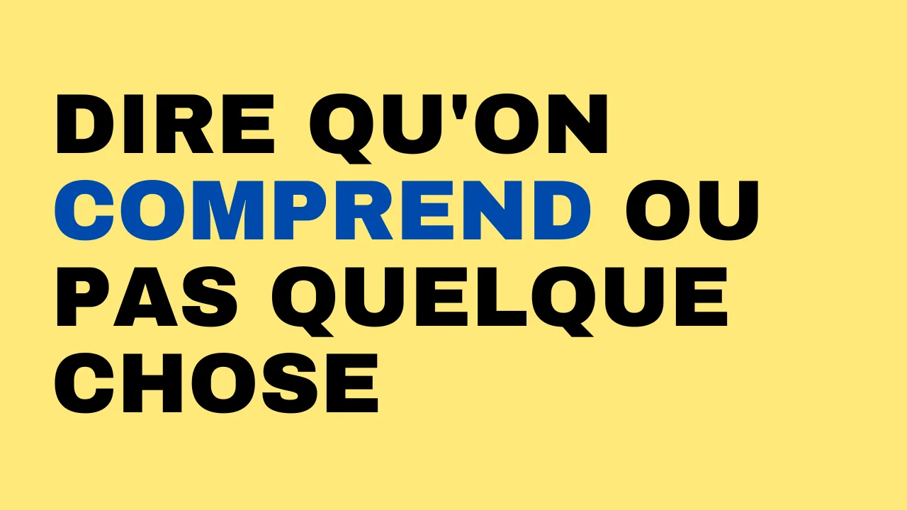 Dire qu'on comprend ou pas quelque chose