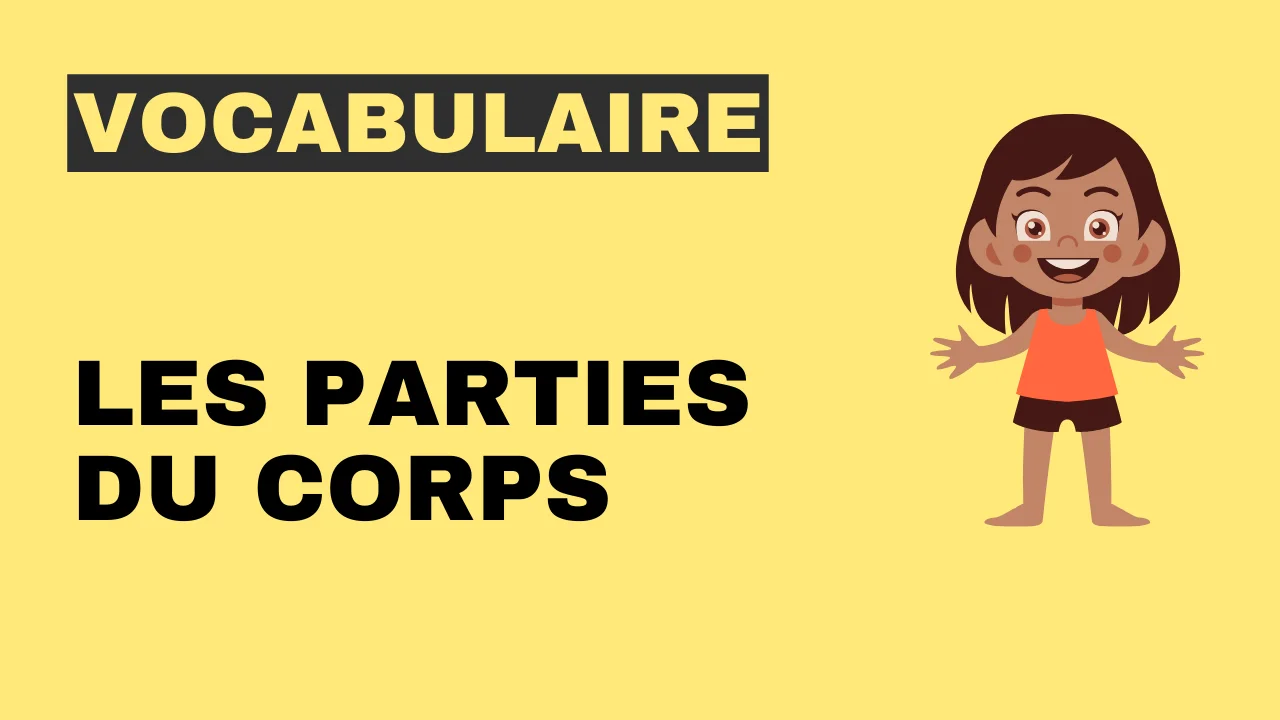 Les parties du corps humain, Le torse