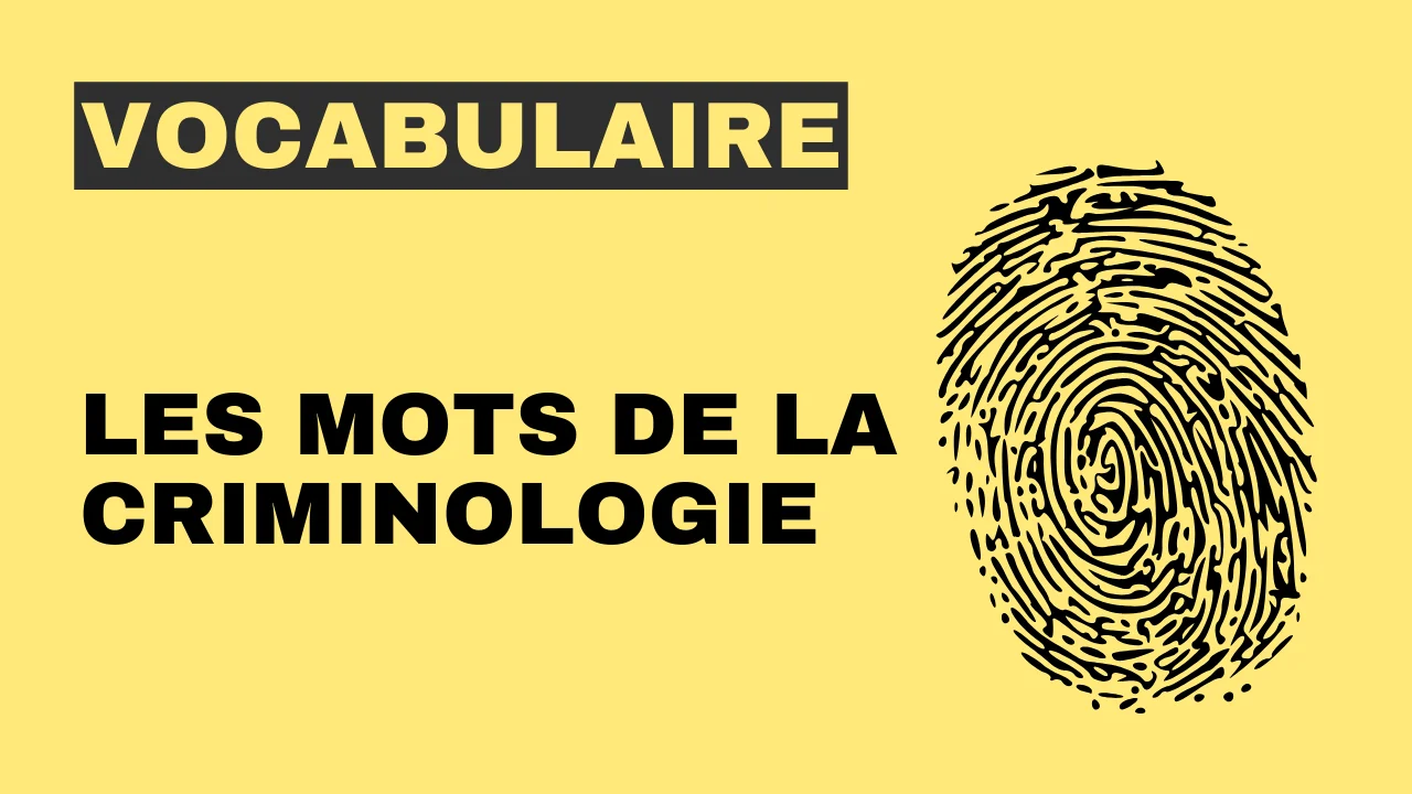 Vocabulaire - les mots de la criminologie