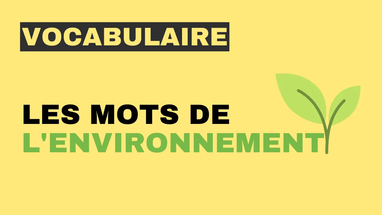 Vocabulaire - les mots de l'environnement