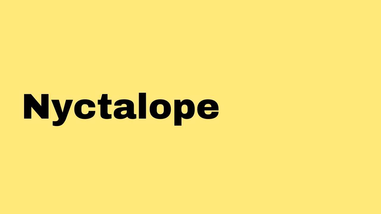 Nyctalope - Word of the day – All French