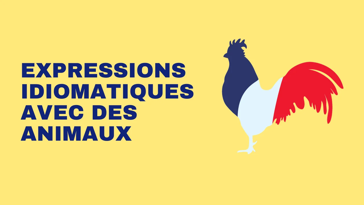 Lire la suite à propos de l’article Expressions idiomatiques avec des animaux en français