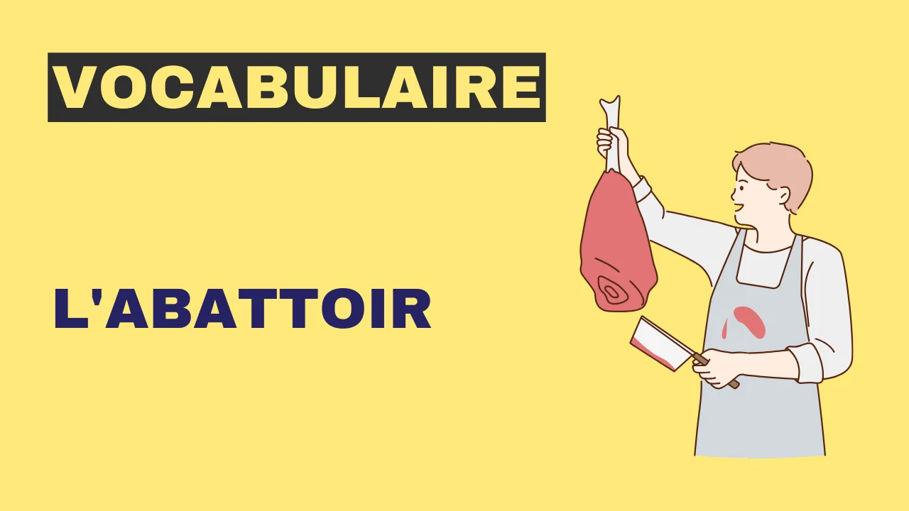 Vocabulaire - l'abattoir