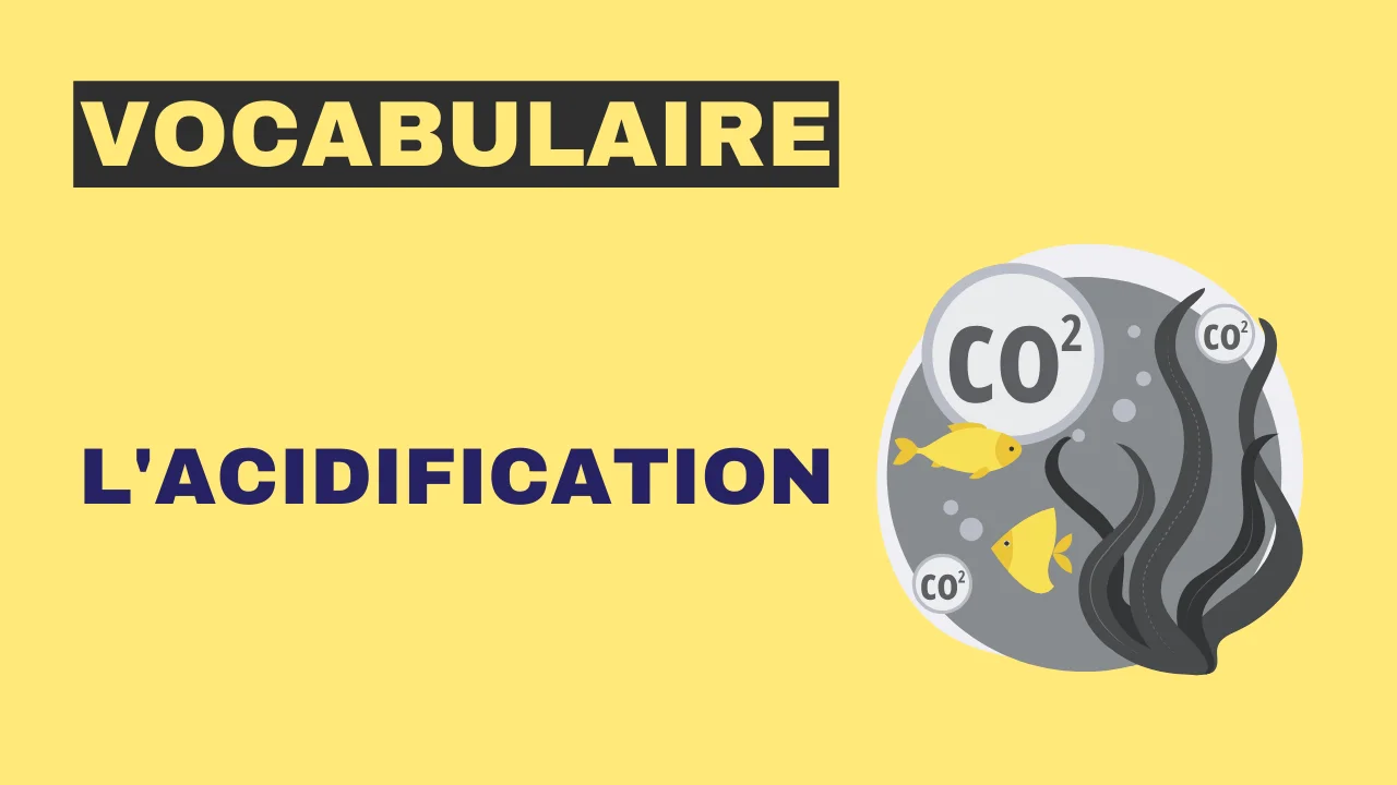 Vocabulaire - l'acidification