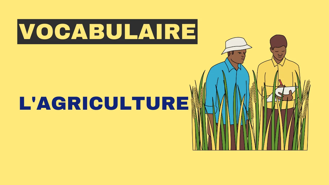 Vocabulaire - l'agriculture