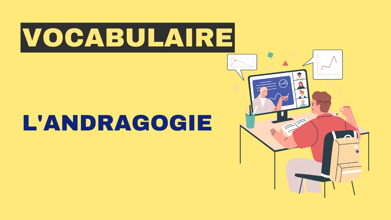 Vocabulaire - l'andragogie
