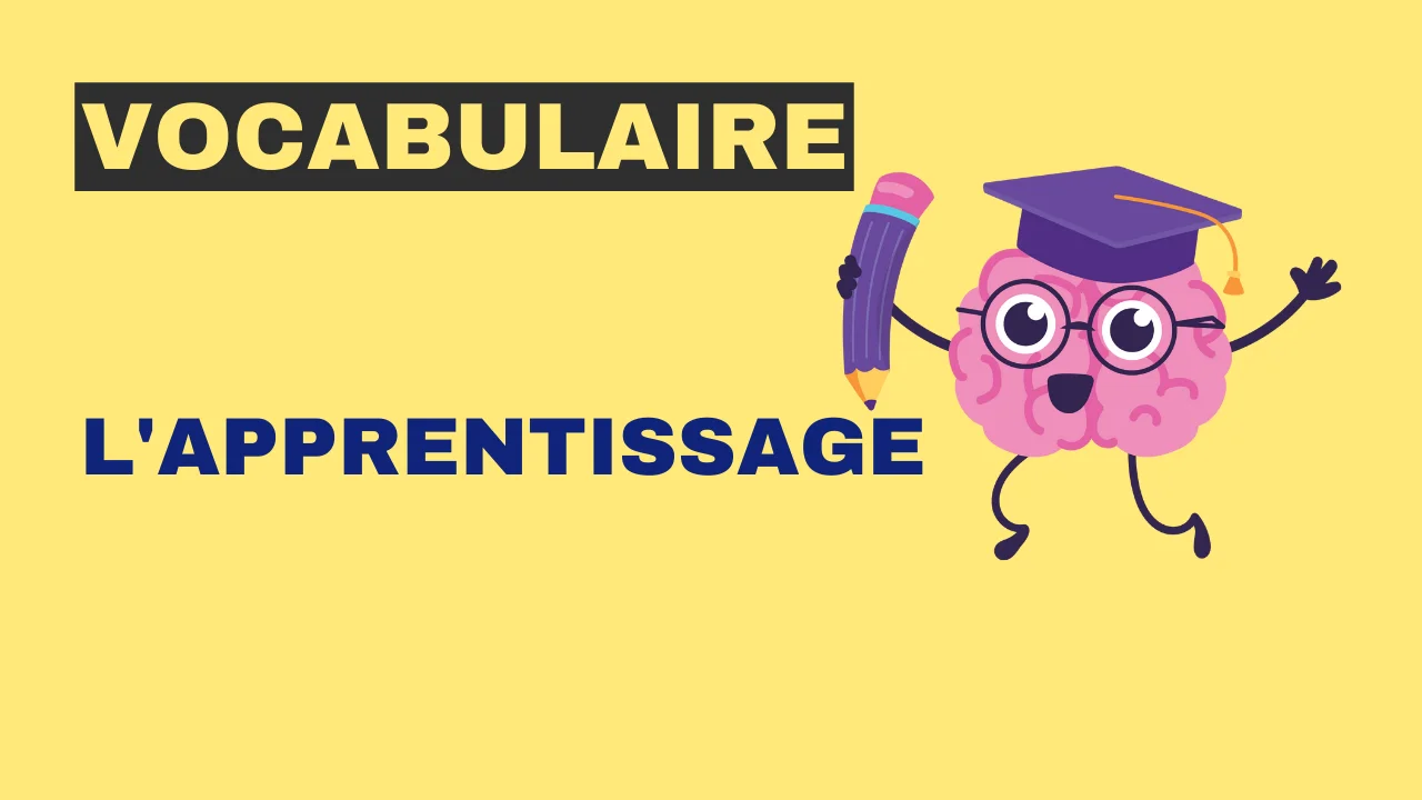 Vocabulaire - l'apprentissage