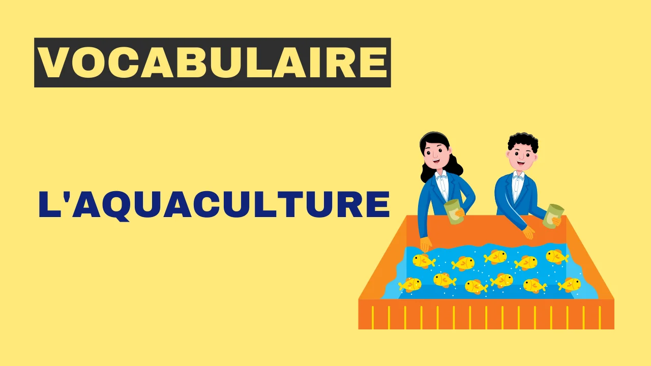 Vocabulaire - l'aquaculture