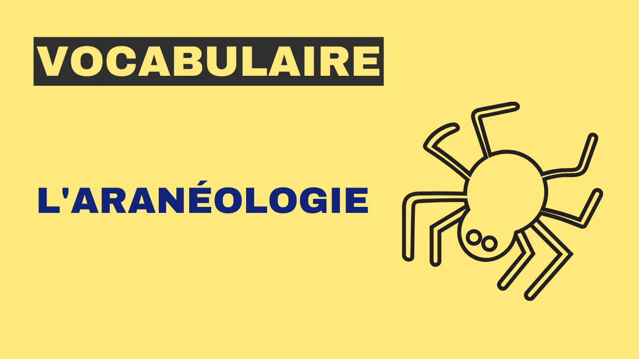 Vocabulaire - l'aranéologie