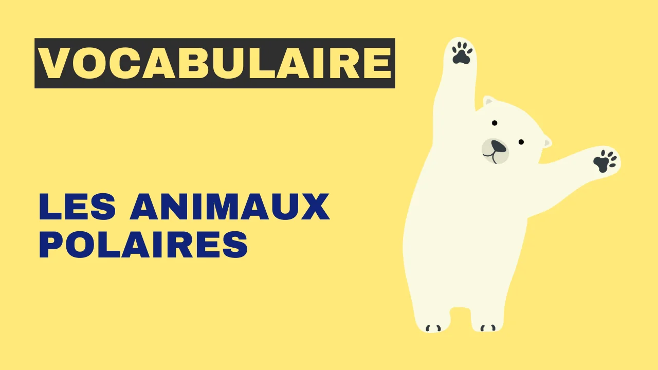 Vocabulaire : les animaux polaires – Tout le français