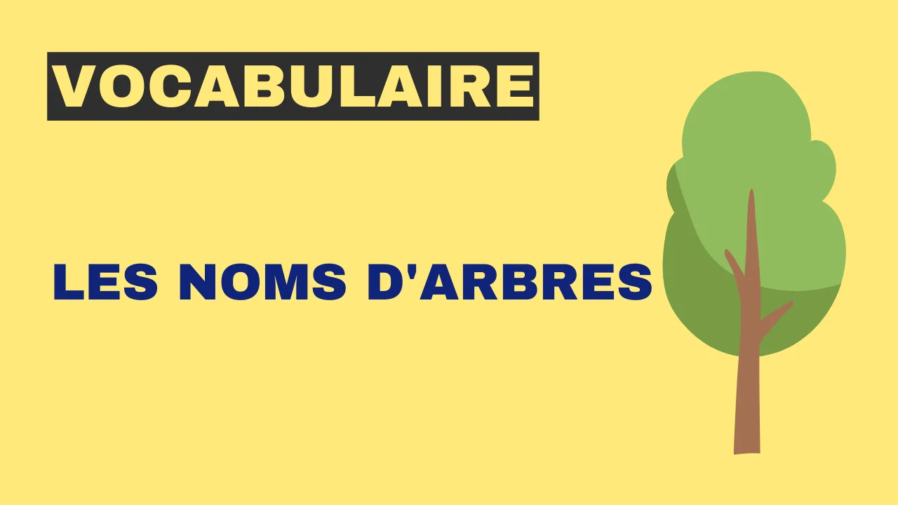Vocabulaire - les noms d'arbres