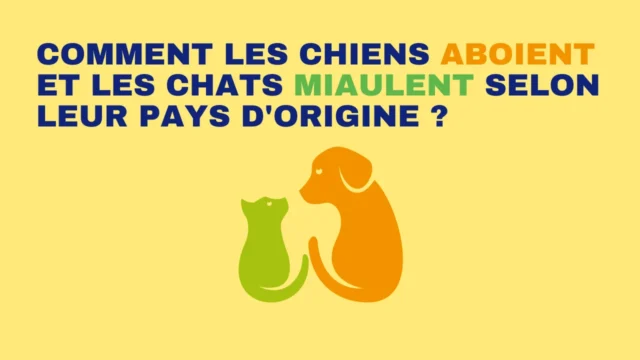 Lire la suite à propos de l’article Comment les chiens aboient et les chats miaulent selon leur pays d’origine ?