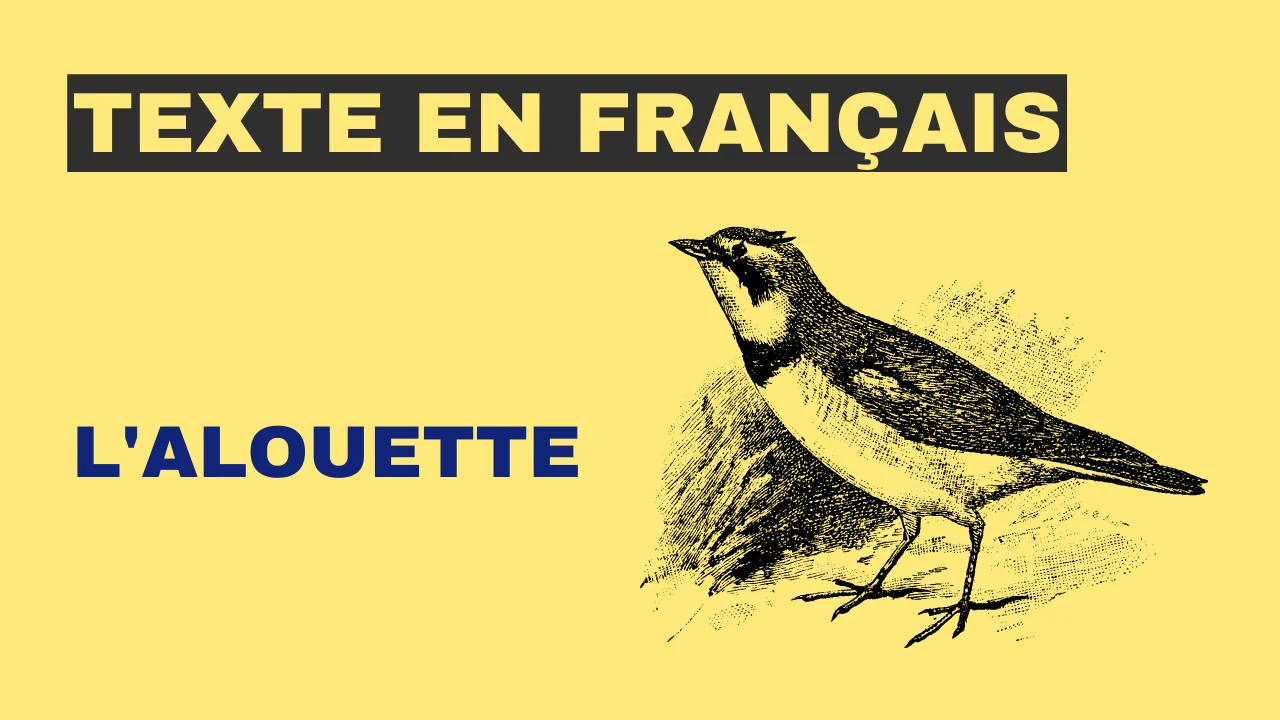 Texte en français - L'alouette