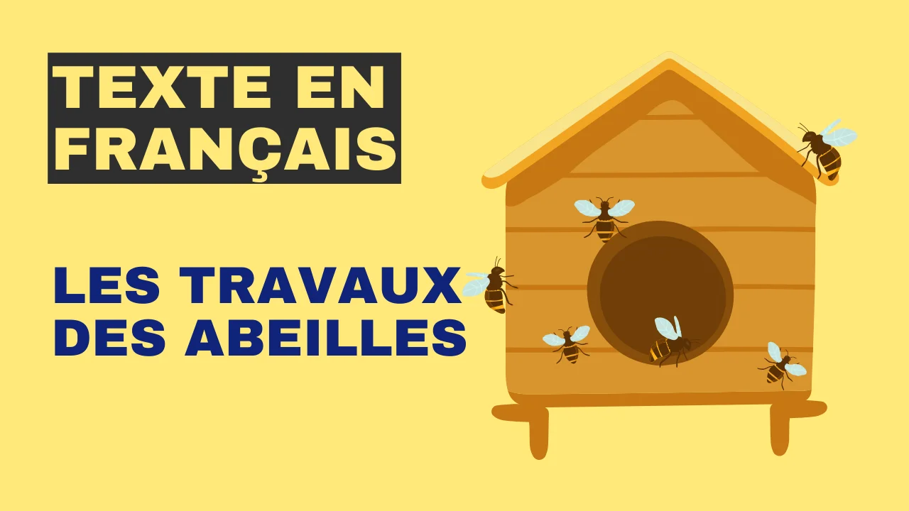 Texte en français : Les travaux des abeilles