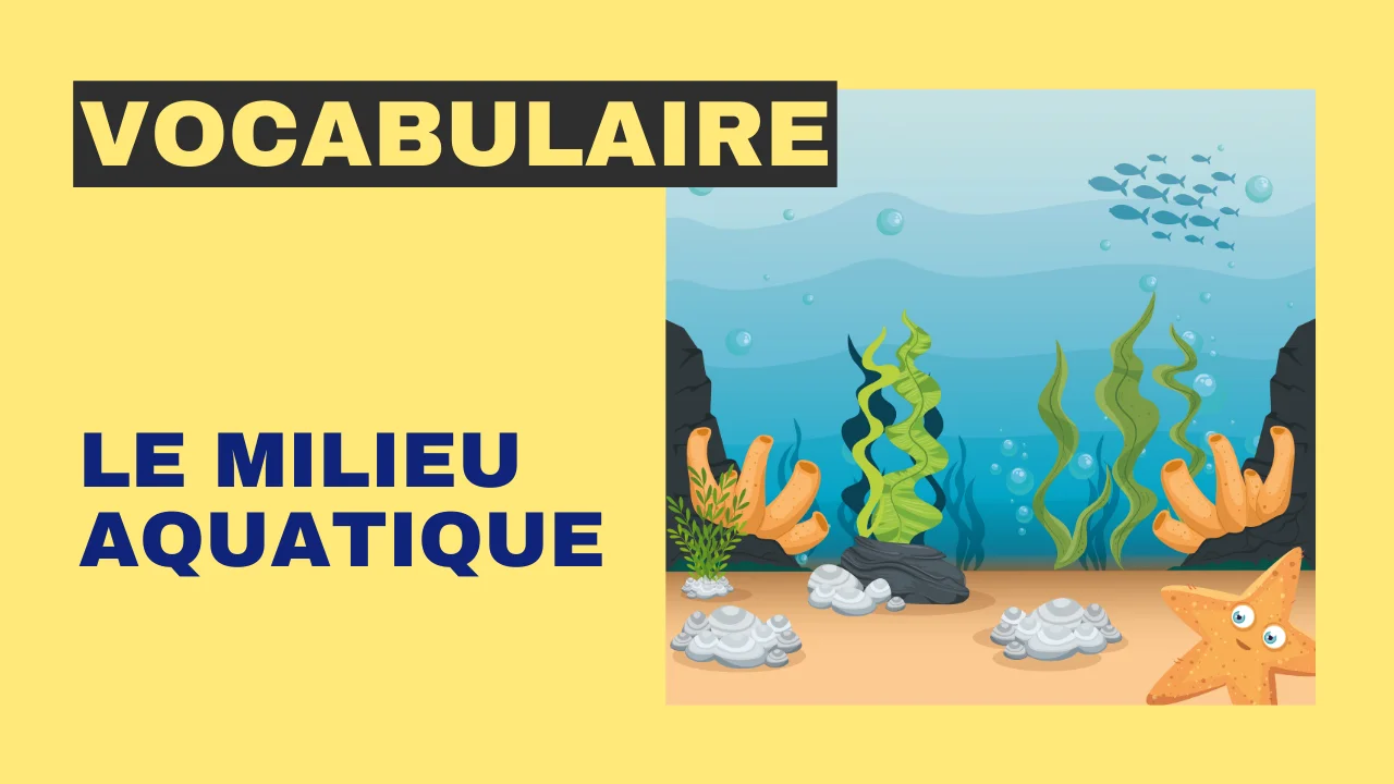 Vocabulaire : Le milieu aquatique