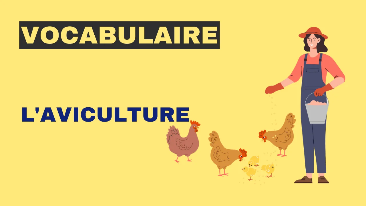 Vocabulaire : l'aviculture