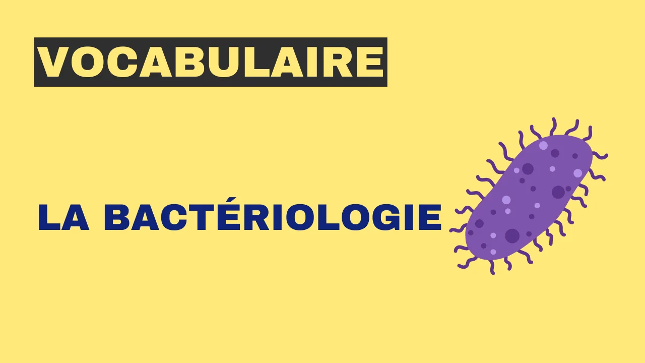 Vocabulaire : la bactériologie