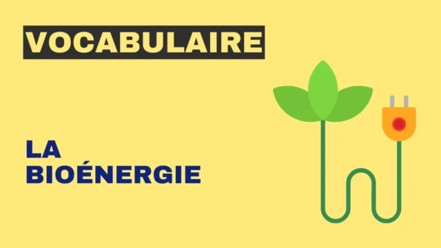 Vocabulaire : la bioénergie