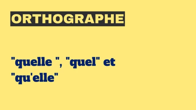 essay about my family in french