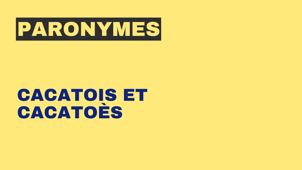 Paronymes : cacatois et cacatoès
