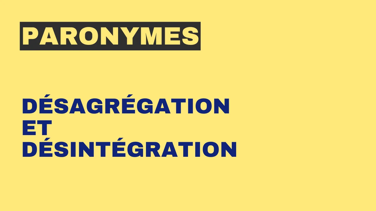 Paronymes : désagrégation et désintégration