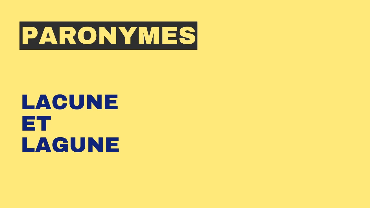 Paronymes : lacune et lagune