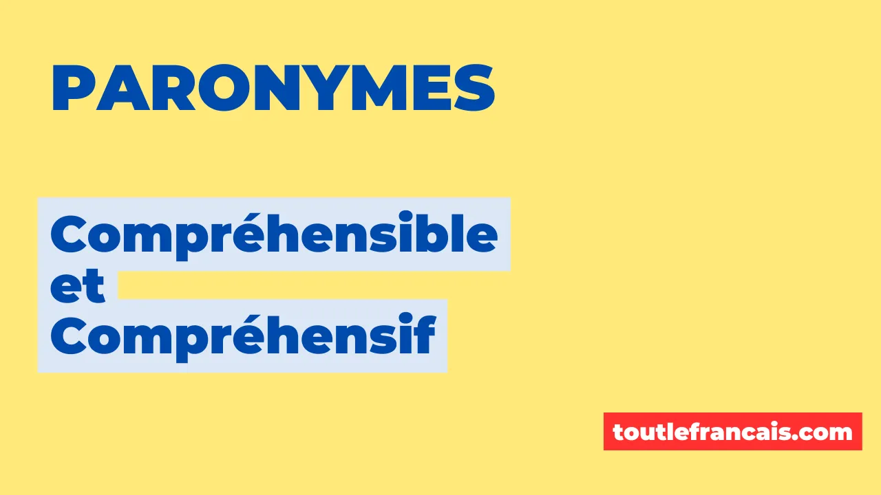 Paronymes : compréhensible et compréhensif